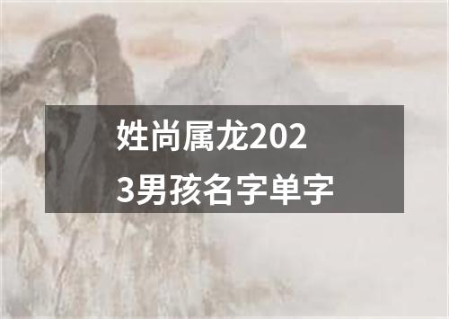 姓尚属龙2023男孩名字单字