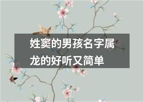 姓窦的男孩名字属龙的好听又简单