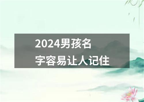 2024男孩名字容易让人记住