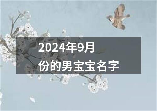 2024年9月份的男宝宝名字