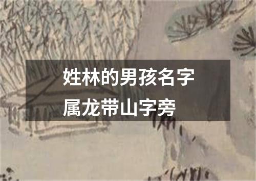 姓林的男孩名字属龙带山字旁