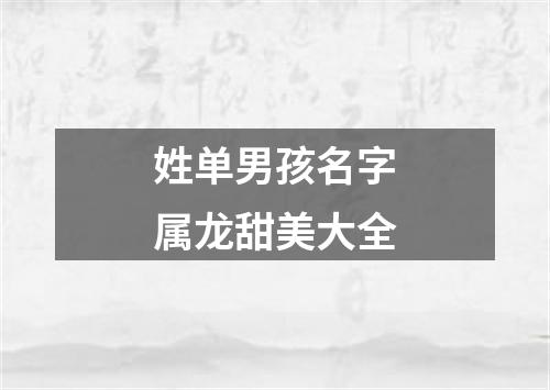 姓单男孩名字属龙甜美大全