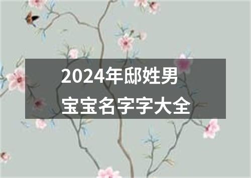 2024年邸姓男宝宝名字字大全