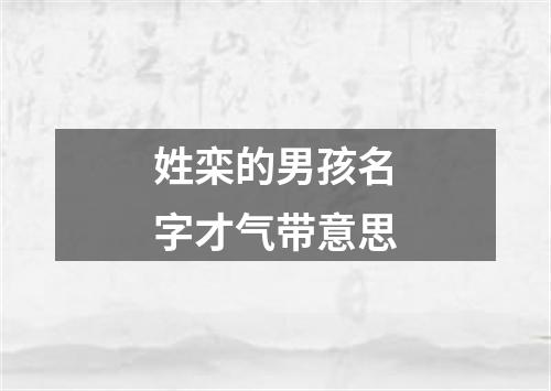 姓栾的男孩名字才气带意思