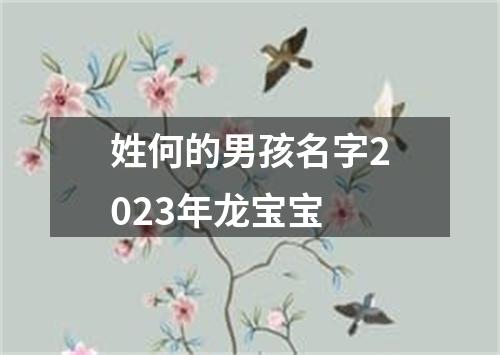 姓何的男孩名字2023年龙宝宝