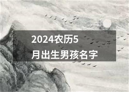 2024农历5月出生男孩名字