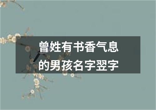 曾姓有书香气息的男孩名字翌字