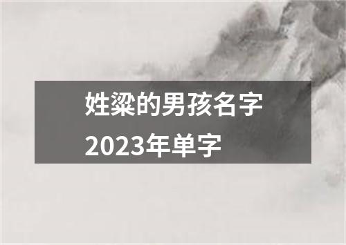 姓粱的男孩名字2023年单字