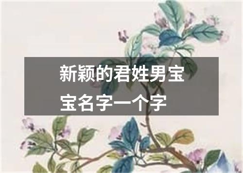 新颖的君姓男宝宝名字一个字