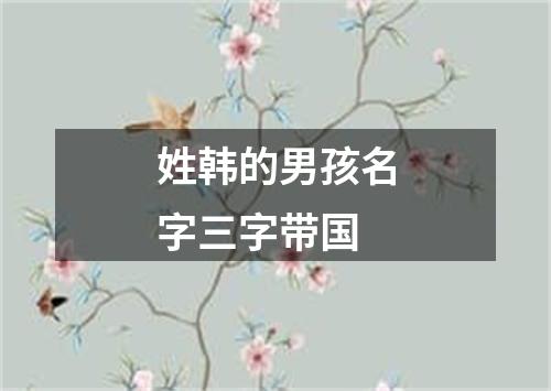 姓韩的男孩名字三字带国