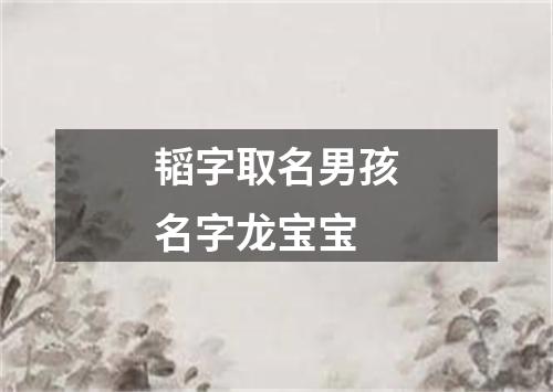 韬字取名男孩名字龙宝宝