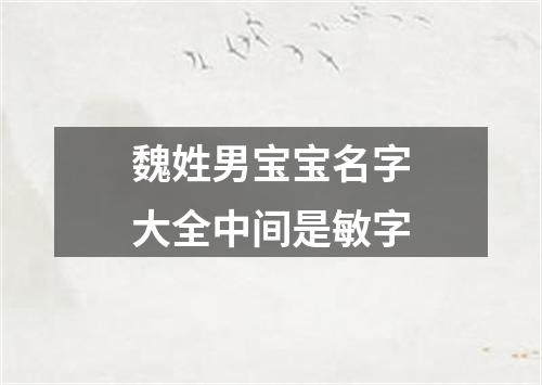 魏姓男宝宝名字大全中间是敏字