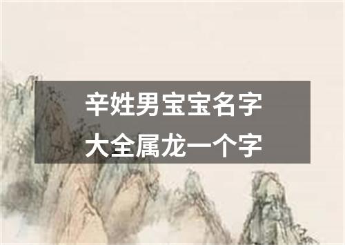 辛姓男宝宝名字大全属龙一个字