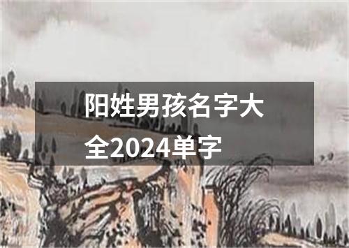 阳姓男孩名字大全2024单字