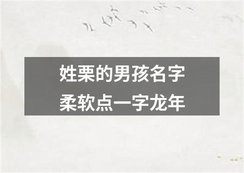 姓栗的男孩名字柔软点一字龙年