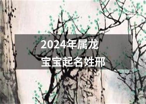 2024年属龙宝宝起名姓邢