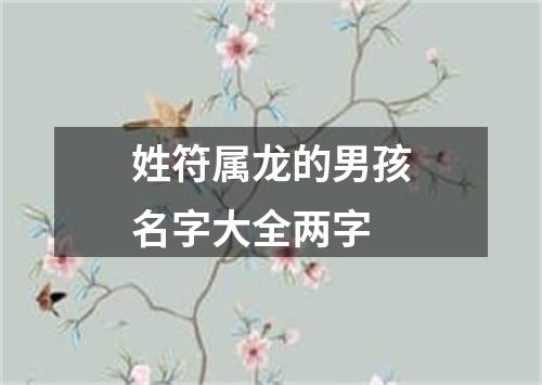 姓符属龙的男孩名字大全两字