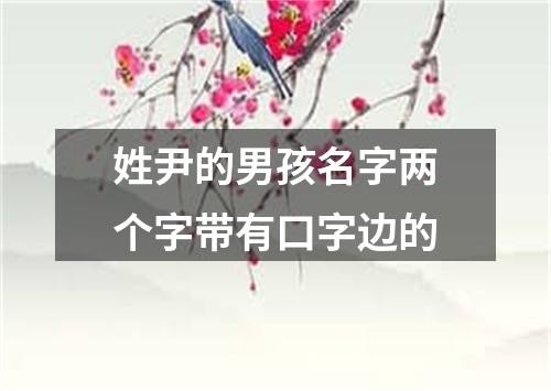 姓尹的男孩名字两个字带有口字边的