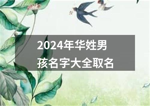 2024年华姓男孩名字大全取名