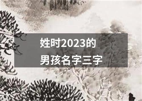 姓时2023的男孩名字三字