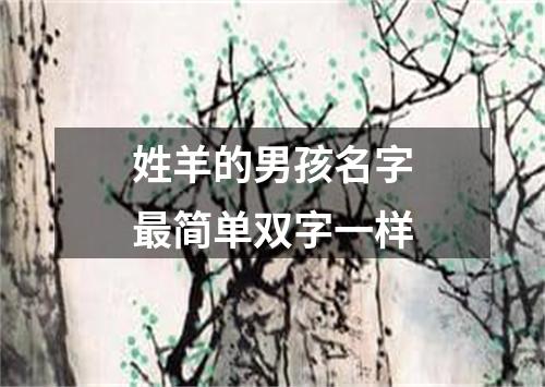 姓羊的男孩名字最简单双字一样