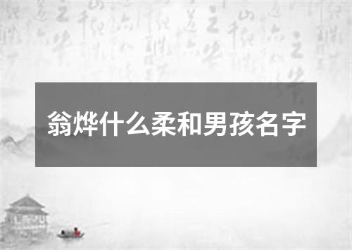 翁烨什么柔和男孩名字