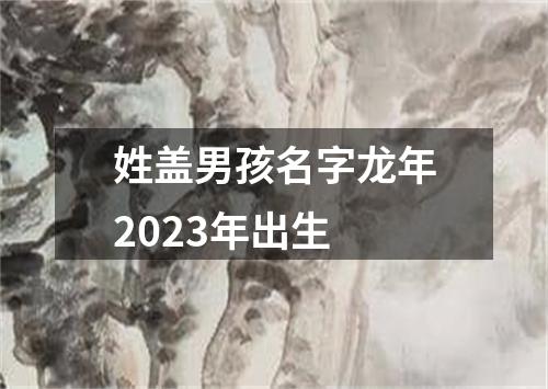 姓盖男孩名字龙年2023年出生