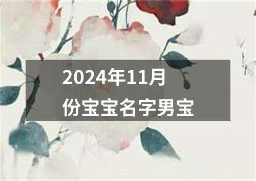 2024年11月份宝宝名字男宝