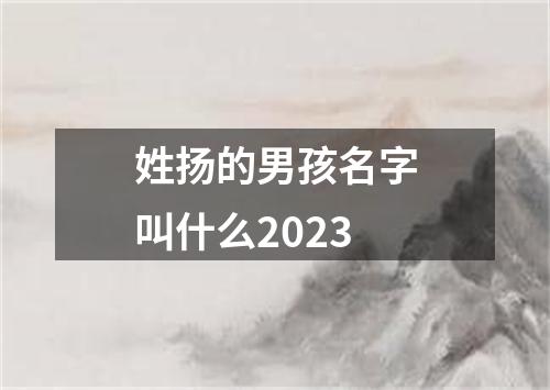 姓扬的男孩名字叫什么2023