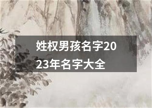 姓权男孩名字2023年名字大全