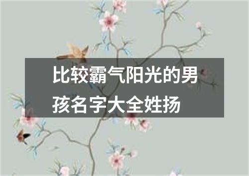 比较霸气阳光的男孩名字大全姓扬