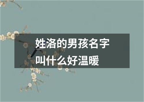 姓洛的男孩名字叫什么好温暖