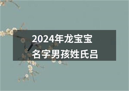 2024年龙宝宝名字男孩姓氏吕