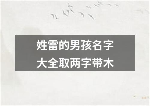 姓雷的男孩名字大全取两字带木