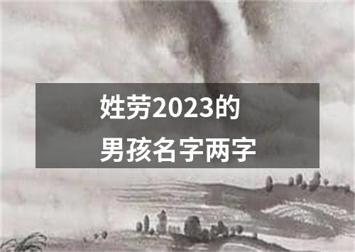 姓劳2023的男孩名字两字