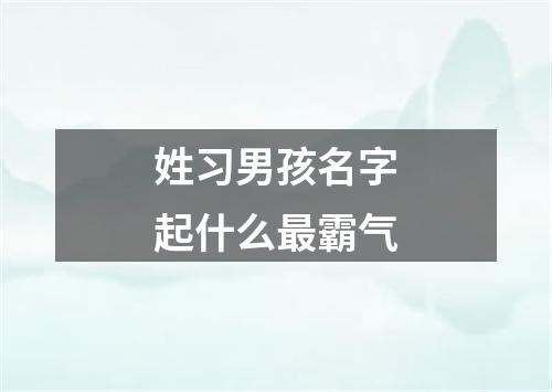 姓习男孩名字起什么最霸气