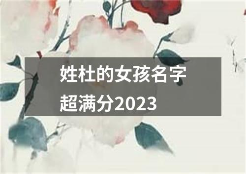 姓杜的女孩名字超满分2023