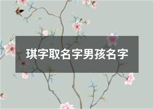 琪字取名字男孩名字