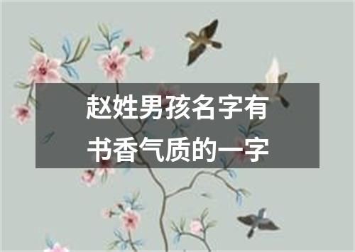 赵姓男孩名字有书香气质的一字