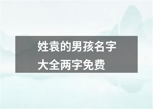 姓袁的男孩名字大全两字免费