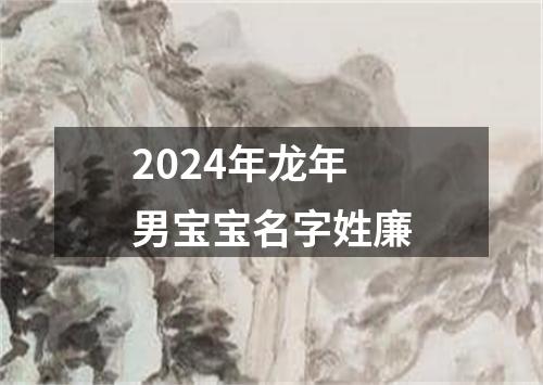 2024年龙年男宝宝名字姓廉