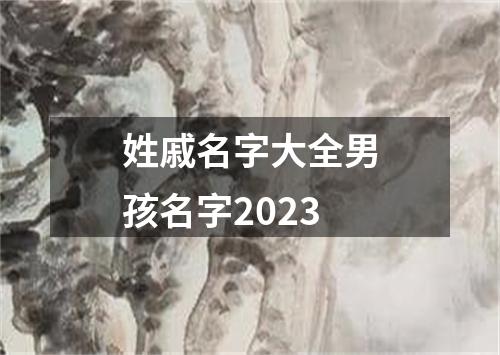 姓戚名字大全男孩名字2023