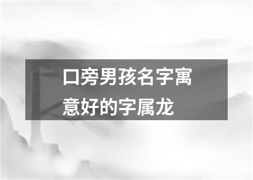 口旁男孩名字寓意好的字属龙