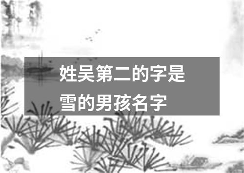 姓吴第二的字是雪的男孩名字