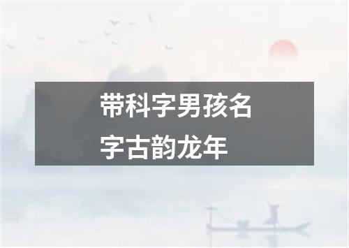 带科字男孩名字古韵龙年