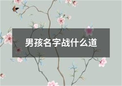 男孩名字战什么道