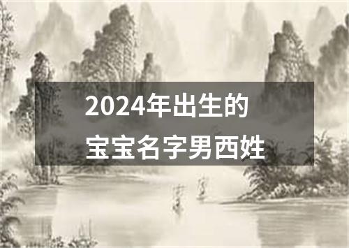 2024年出生的宝宝名字男西姓