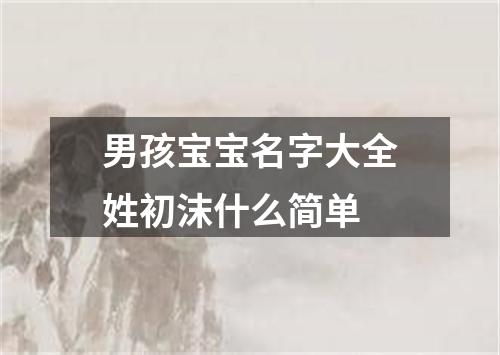 男孩宝宝名字大全姓初沫什么简单