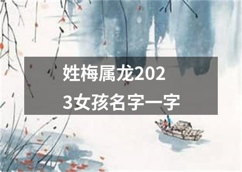 姓梅属龙2023女孩名字一字