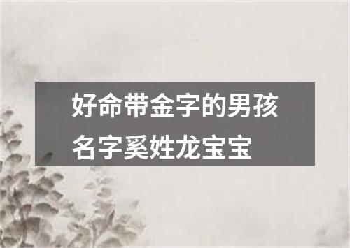 好命带金字的男孩名字奚姓龙宝宝